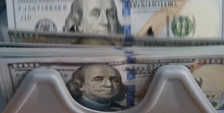 El dólar oficial superó los $1.400 tras liberar el Gobierno pesos al mercado