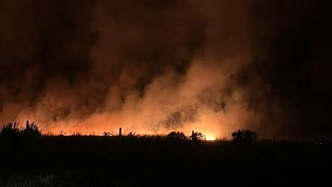 Un incendio forestal arrasó más de 200 hectáreas cerca de Mar del Plata y sospechan que fue intencional
