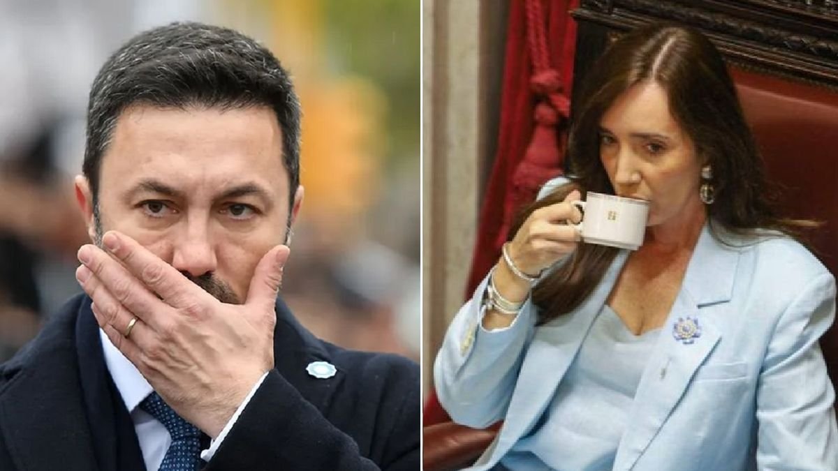 Villarruel cumplió y fue a la Justicia: denunció penalmente a Petri por llamarla ‘golpista’
