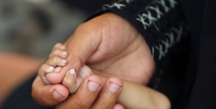 El dato que marca contraste en la region: que paises tienen menos desnutricion