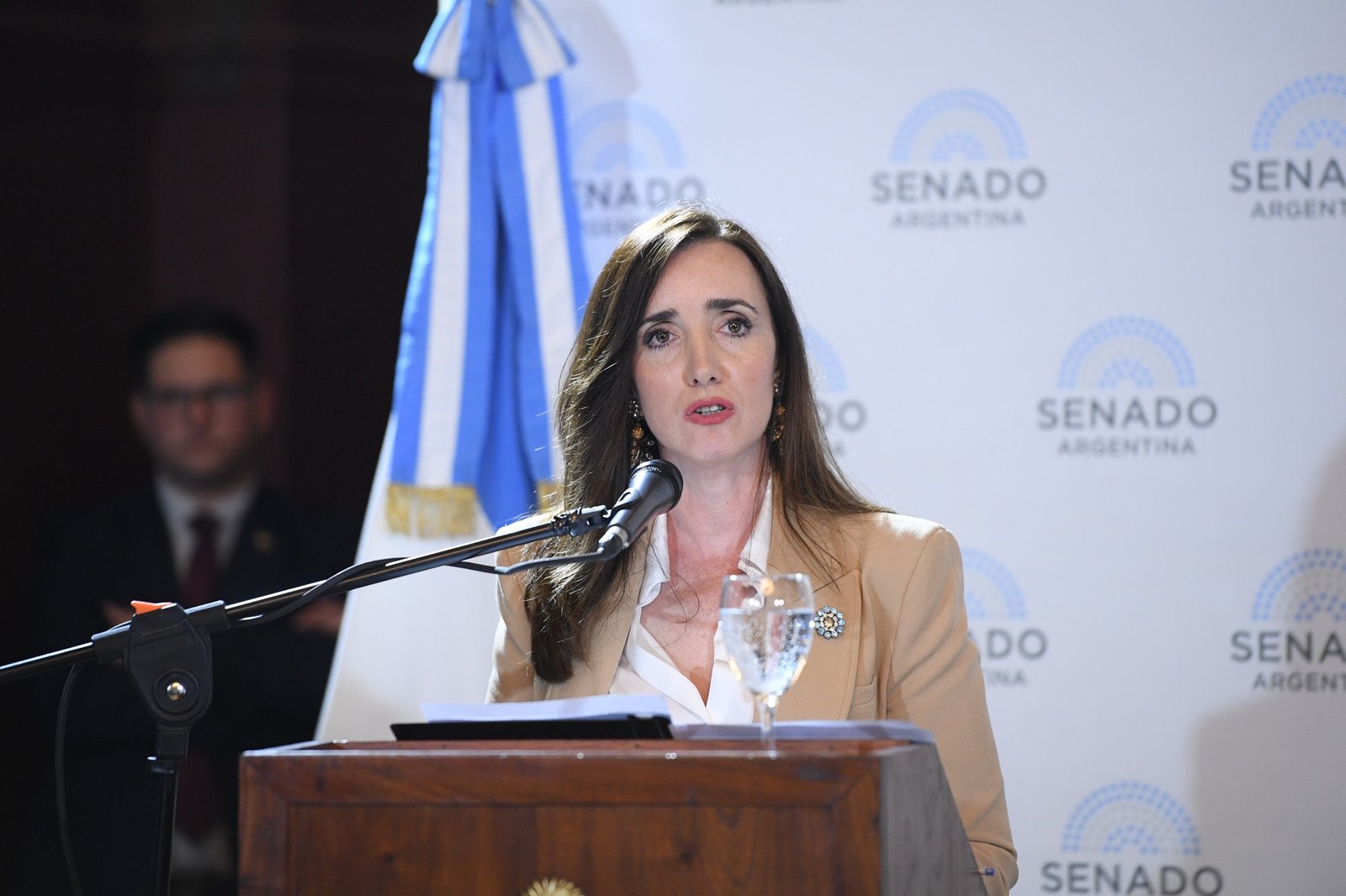 El Senado se reorganiza y La Libertad Avanza busca quedarse con las comisiones clave: qué pasa con el peronismo