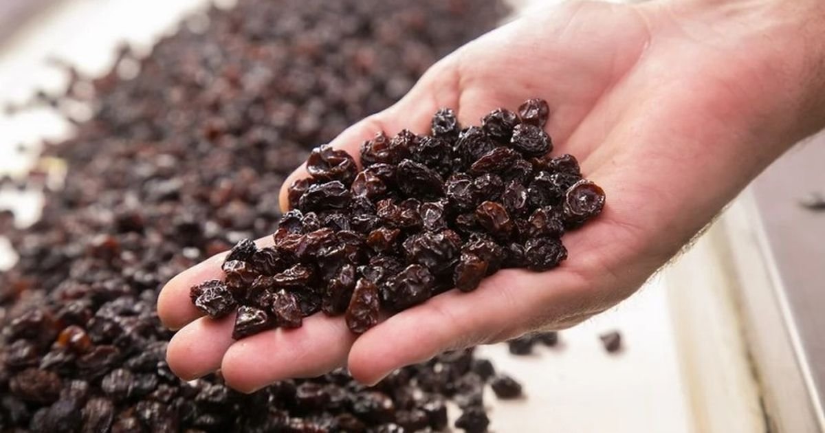San Juan fue a Nueva York a vender más que minería: mosto, pasas y aceite de oliva en el Argentina Week