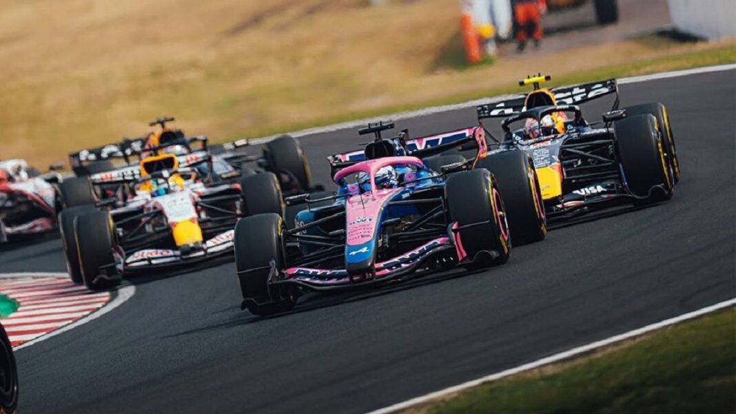 Atento, Colapinto: la decisión que podría tomar la FIA al cierre del campeonato de Fórmula 1