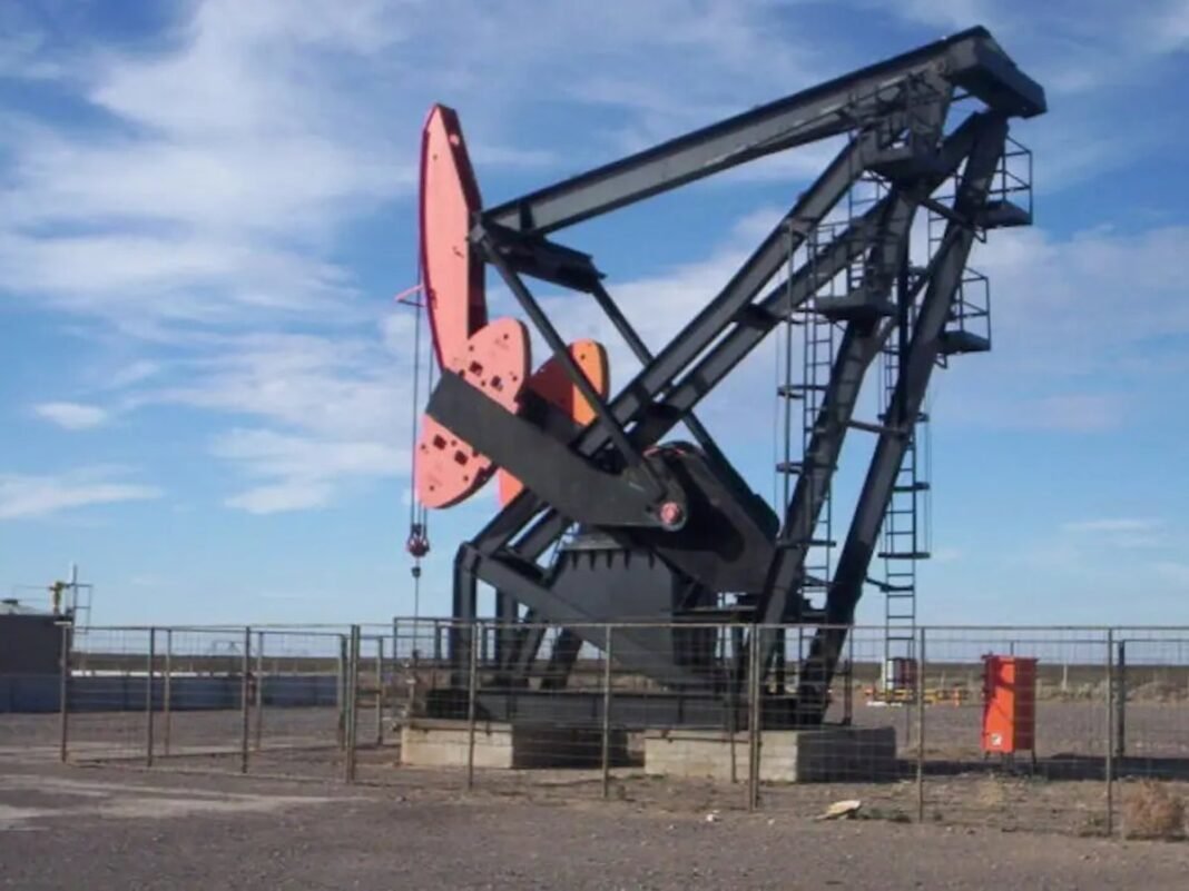 Central Puerto compró una petrolera y desembarcará por primera vez en Vaca Muerta