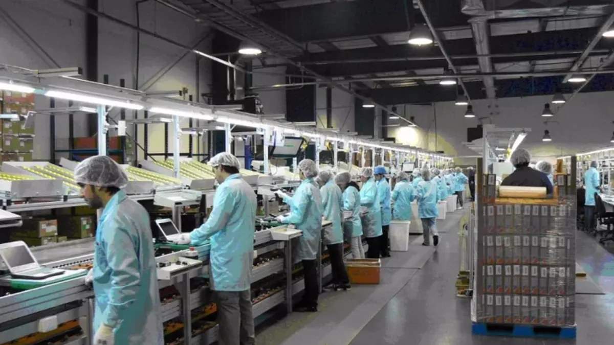 San Juan crece mientras el país cae: así quedó entre las pocas provincias con más empleo registrado