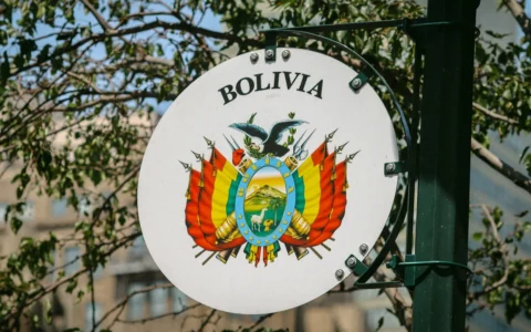 Bolivia en llamas: Paz endurece el tono y advierte que hará respetar la Constitución
