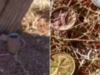 Encontró una olla, monedas y una medalla bajo un árbol en Santa Lucía y TikTok se volvió loco