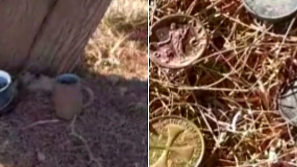 Encontró una olla, monedas y una medalla bajo un árbol en Santa Lucía y TikTok se volvió loco