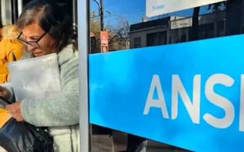 Mirá qué día te depositan la asignación familiar en noviembre según tu DNI