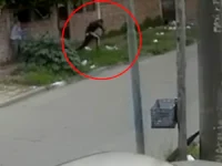Un policía mató a uno de los cuatro que le quisieron robar el auto con su familia adentro