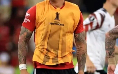 Estudiantes va a la final de la Libertadores y Flamengo se quedó sin argumentos