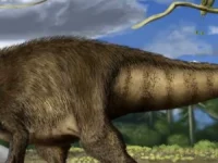 Argentina encontró un dinosaurio carnívoro que nadie había visto antes